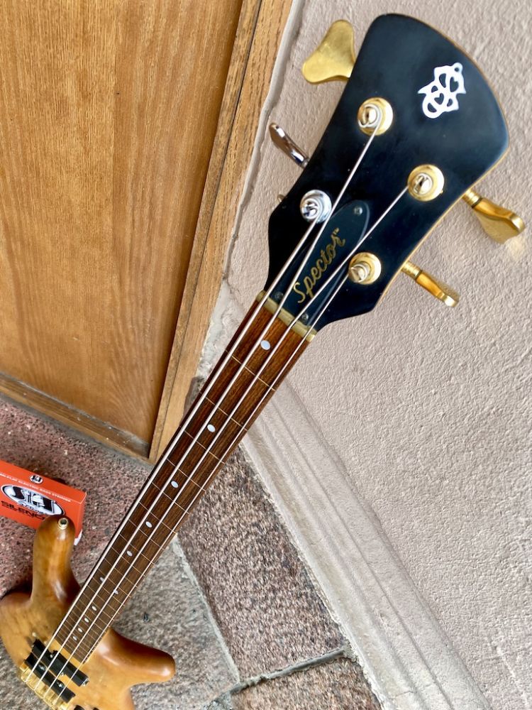 Spector fretless online