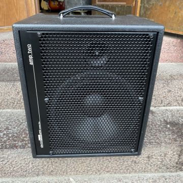 AER AMP TWO BASS COMBO