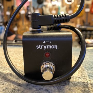 STRYMON MINI SWITCH (TAP TEMPO, BOOST SWITCH ETC.)