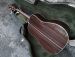 COLLINGS CW INDIAN A